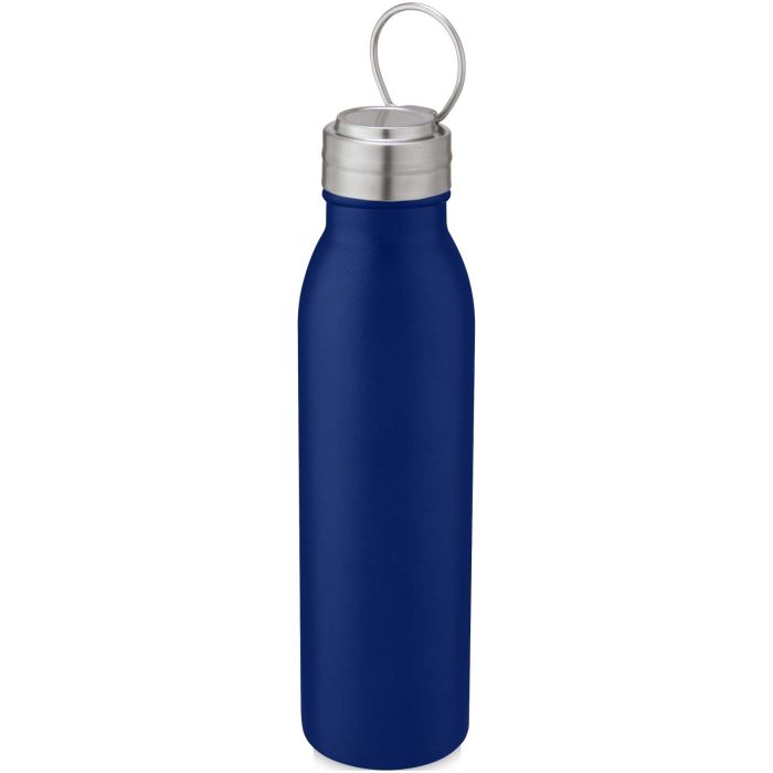 Harper 700 ml stainless steel water bottle with metal loop Harper 700 ml stainless steel water bottle with metal loop